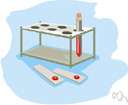 type O - the blood group whose red cells carry neither the A nor B antigens