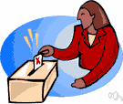 voter turnout - the total number of voters who participated