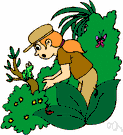 life scientist - (biology) a scientist who studies living organisms