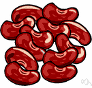 Bean - any of various edible seeds of plants of the family Leguminosae used for food