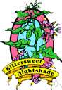 bittersweet nightshade - poisonous perennial Old World vine having violet flowers and oval coral-red berries