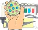 Sporulation - asexual reproduction by the production and release of spores