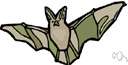 vespertilionid - a variety of carnivorous bat vespertilionid - a variety of carnivorous bat