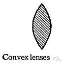 lenticular - convex on both sides