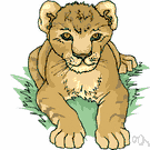 lion cub - a young lion