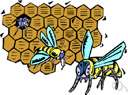 honeycomb - a framework of hexagonal cells resembling the honeycomb built by bees