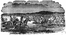 Buffalo Indian - a member of one of the tribes of American Indians who lived a nomadic life following the buffalo in the Great Plains of North America