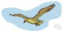 soar - the act of rising upward into the air