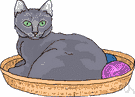 true cat - feline mammal usually having thick soft fur and no ability to roar: domestic cats