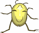 Tenebrionidae - a family of arthropods including darkling beetles and mealworms