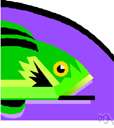 Abranchial