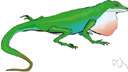 green lizard