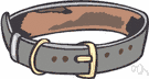 dog collar - a collar for a dog