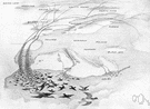 flyway - the geographic route along which birds customarily migrate