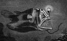 lanternfish - small fish having rows of luminous organs along each side