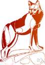 Canis niger