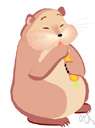 Mesocricetus auratus - small light-colored hamster often kept as a pet