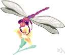 Anthophagous