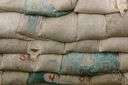 milled - (of grains especially rice) having the husk or outer layers removed