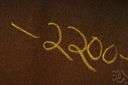numerical value - a real number regardless of its sign