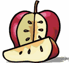 false fruit - a fleshy fruit (apple or pear or related fruits) having seed chambers and an outer fleshy part