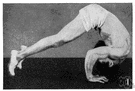 acrobatics - the gymnastic moves of an acrobat