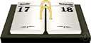 schedule - a temporally organized plan for matters to be attended to