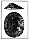 common limpet - marine limpet