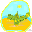 mudspringer - found in tropical coastal regions of Africa and Asia