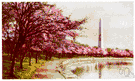 tidewater stream - a stream in which the effects of the tide extend far upstream