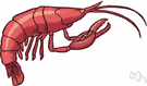 Palinuridae - spiny lobsters Palinuridae - spiny lobsters
