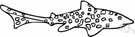tiger shark - large dangerous warm-water shark with striped or spotted body