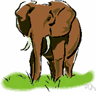 tusker - any mammal with prominent tusks (especially an elephant or wild boar)