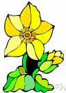 buttercup - any of various plants of the genus Ranunculus