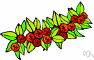 cornel - a tree of shrub of the genus Cornus often having showy bracts resembling flowers