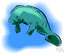 sirenian mammal - any of two families of large herbivorous aquatic mammals with paddle-shaped tails and flipper-like forelimbs and no hind limbs