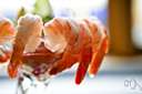 appetiser - food or drink to stimulate the appetite (usually served before a meal or as the first course)