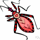 kissing bug - large bloodsucking bug