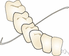 dental floss - a soft thread for cleaning the spaces between the teeth