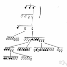 filiation - inherited properties shared with others of your bloodline