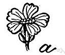 sneezewort - Eurasian herb having loose heads of button-shaped white flowers and long grey-green leaves that cause sneezing when powdered