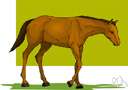 walk - a slow gait of a horse in which two feet are always on the ground