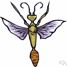 family Sphecidae - mud daubers