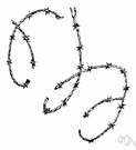 barbed wire - strong wire with barbs at regular intervals used to prevent passage