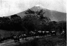 Orizaba - a city of east central Mexico (west of Veracruz)