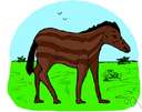 hyracotherium