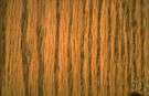 woodgrain
