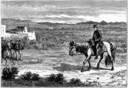 manifest destiny - a policy of imperialism rationalized as inevitable (as if granted by God)