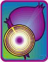 Vidalia onion