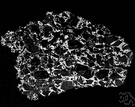 pallasite - a meteorite composed principally of olivine and metallic iron